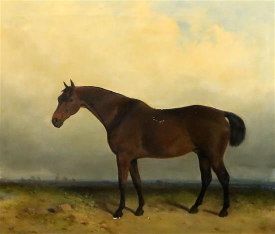J. Hardy (19th C.) Chestnut stallion in a landscape 22.5 x 27.5in.